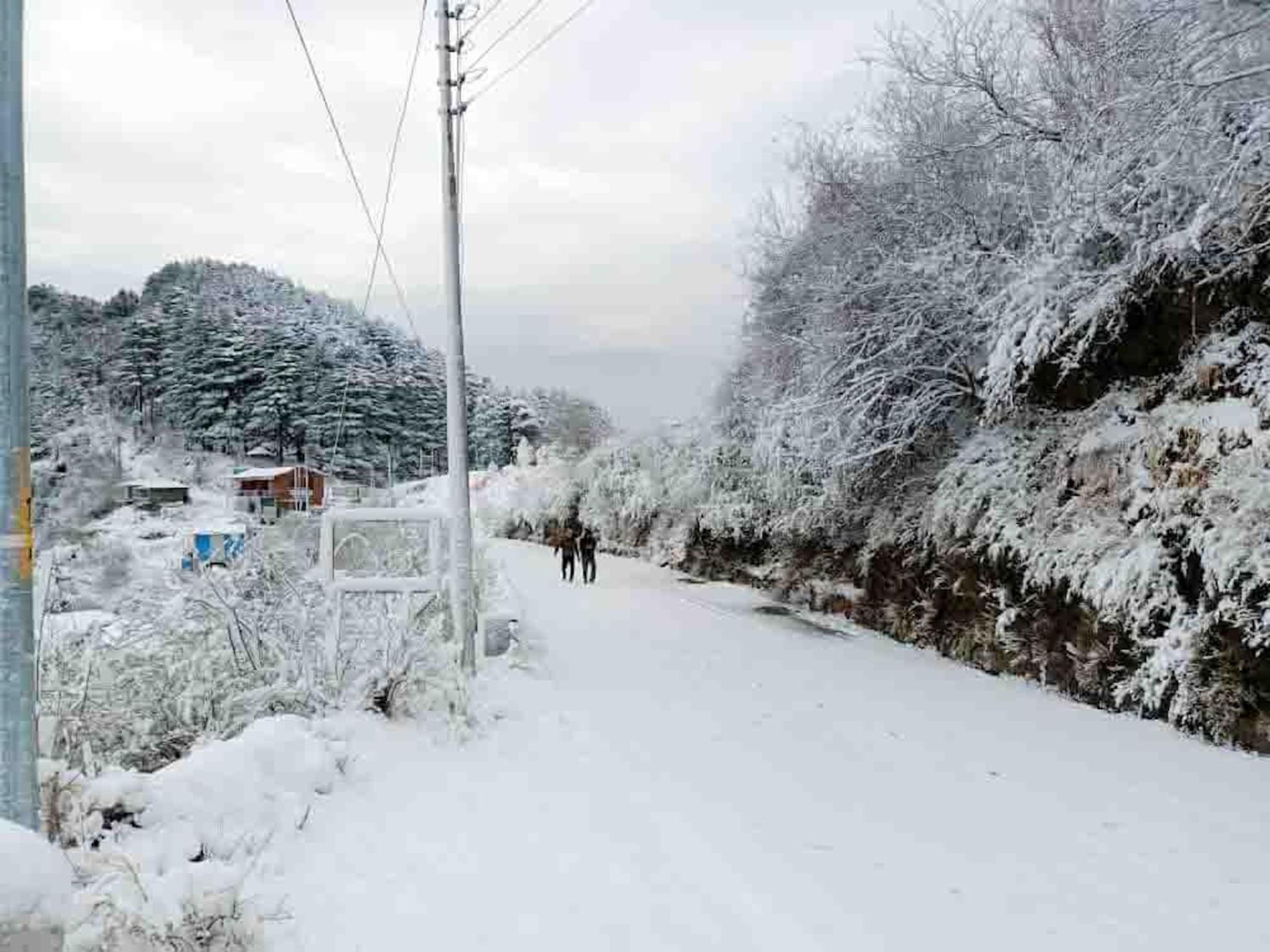 La Riqueza Kanatal #Mountain View Rooms # Near To Kodia Forest Jungle Saafari # 05 Mins From Adventure Activities Esterno foto